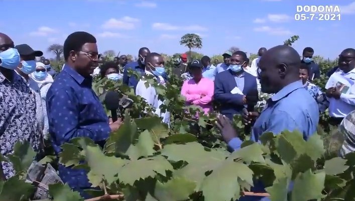 WAZIRI MKUU MAJALIWA AWATAKA WAKULIMA WA ZABIBU HOMBOLO KUILINDA MIUNDOMBINU YA UMWAGILIAJI.